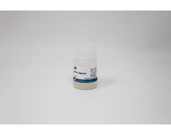 Concanavalin A (Con A), Agarose bound