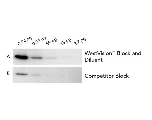 WestVision™ Block and Diluent for Western Blots