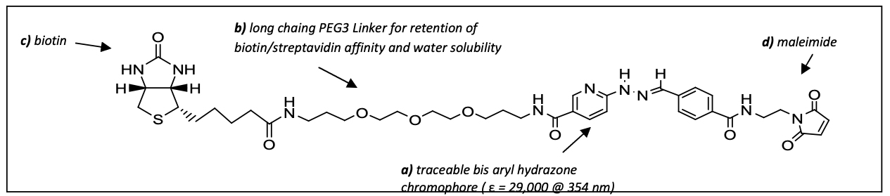 ChromaLINK? Biotin Maleimide
