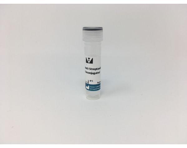 Anti-Streptavidin Antibody, Unconjugated