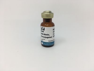 Goat Anti-Biotin, Peroxidase Conjugated