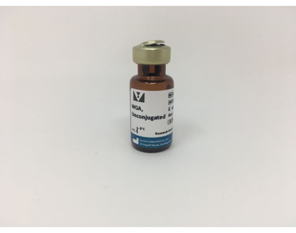 Wheat Germ Agglutinin (WGA), Unconjugated