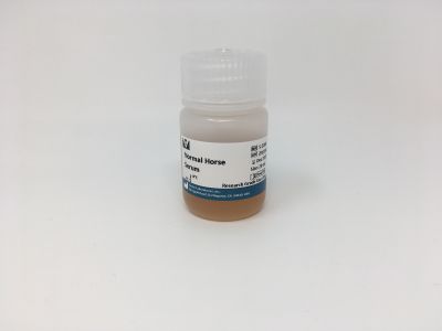 Horse Anti-Mouse IgG Antibody (H+L), Biotinylated, R.T.U.