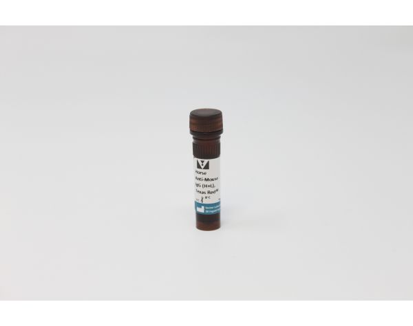 Horse Anti-Mouse IgG Antibody (H+L), Texas Red?