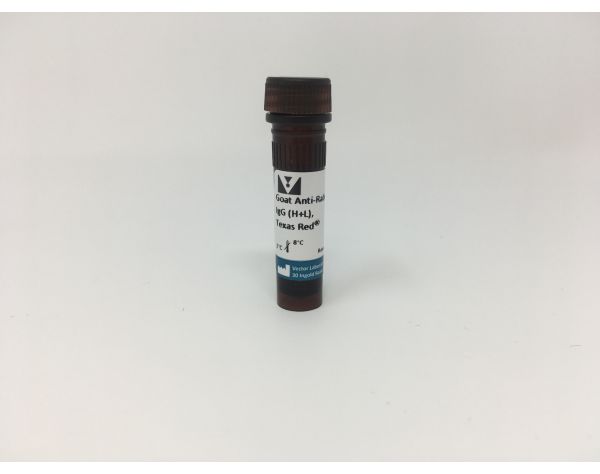 Goat Anti-Rabbit IgG Antibody (H+L), Texas Red?