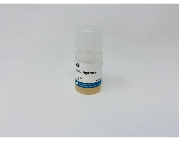 Galanthus Nivalis Lectin (GNL), Agarose bound