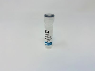 Griffonia Simplicifolia Lectin I (GSL I)  isolectin B4, Unconjugated