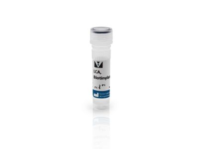 Lens Culinaris Agglutinin (LCA), Unconjugated