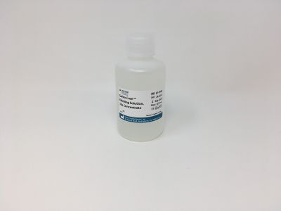 Bovine Serum Albumin (BSA), Immunohistochemical Grade