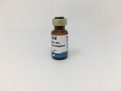 Sambucus Nigra Lectin (SNA, EBL), Agarose bound