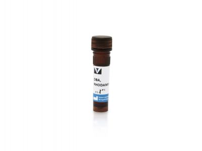 Dolichos Biflorus Agglutinin (DBA), Biotinylated