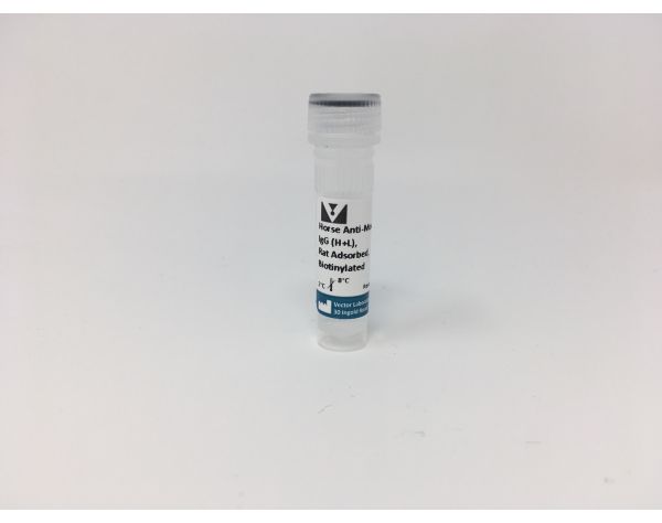 Horse Anti-Mouse IgG Antibody, rat adsorbed (H+L), Biotinylated