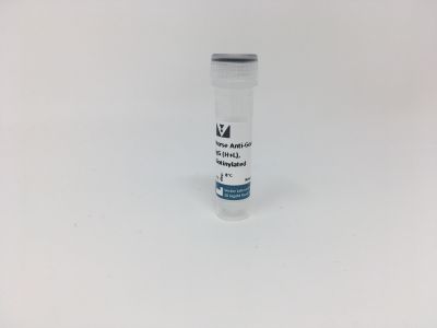 Goat Anti-Digoxigenin/Digoxin (DIG), Unconjugated