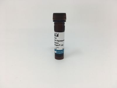 Goat Anti-Digoxigenin/Digoxin (DIG), Unconjugated