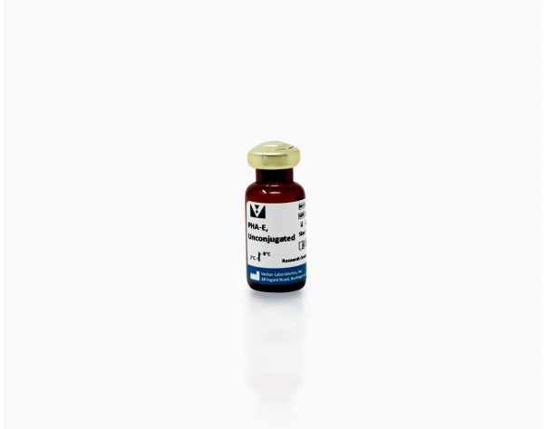 Phaseolus Vulgaris Erythroagglutinin (PHA-E), Unconjugated