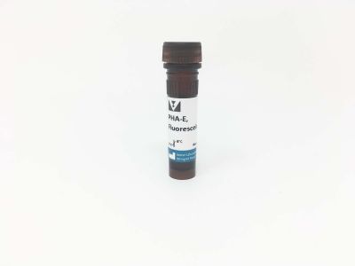 Phaseolus Vulgaris Erythroagglutinin (PHA-E), Unconjugated