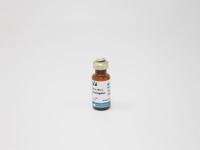 Griffonia (Bandeiraea) Simplicifolia Lectin II (GSL II, BSL II), Fluorescein