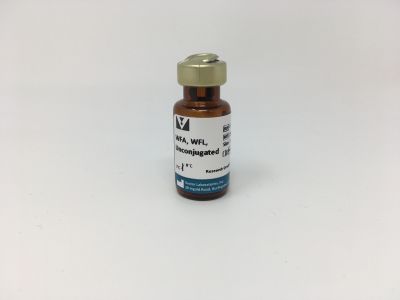 Wisteria Floribunda Lectin (WFA, WFL), Biotinylated