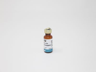 Erythrina Cristagalli Lectin (ECL, ECA), Biotinylated