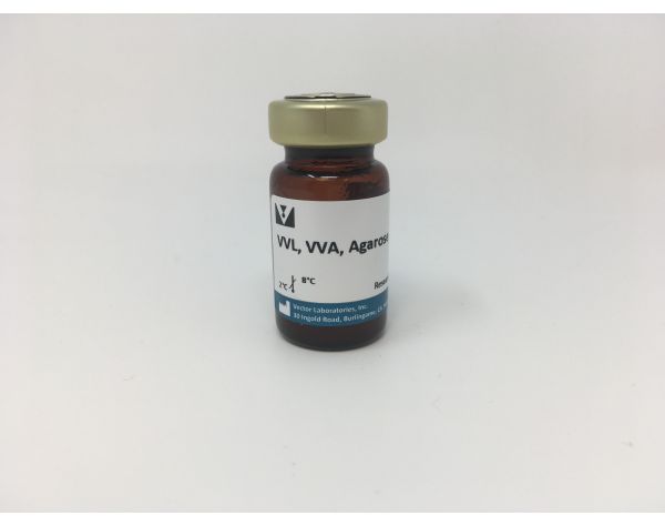 Vicia Villosa Lectin (VVL, VVA), Agarose bound