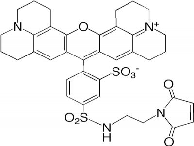 5' EndTag Nucleic Acid Labeling Kit