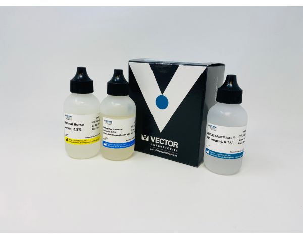 VECTASTAIN? Elite ABC-HRP Kit, Peroxidase, R.T.U. (Universal)