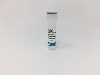 VECTASTAIN? ABC-AP Kit, Alkaline Phosphatase (Mouse IgG)