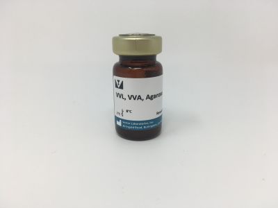 Vicia Villosa Lectin (VVL, VVA), Unconjugated