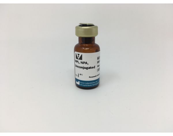 Narcissus Pseudonarcissus (Daffodil) Lectin (NPL, NPA), Unconjugated