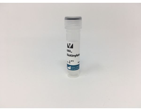 Aleuria Aurantia Lectin (AAL), Biotinylated