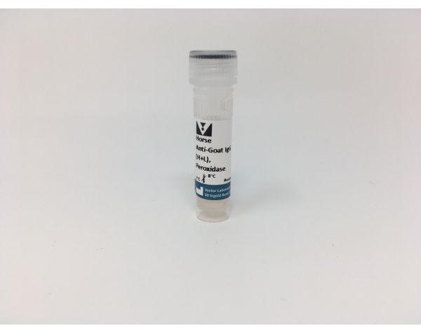Horse Anti-Goat IgG Antibody (H+L), Peroxidase