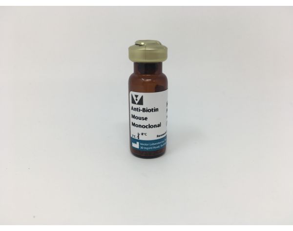 Anti-Biotin Mouse Monoclonal Antibody