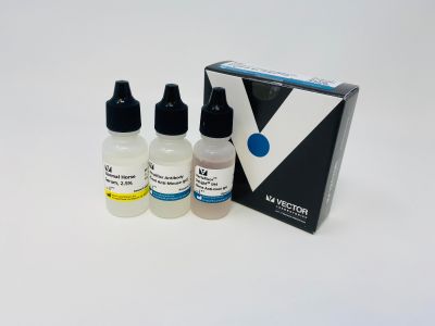 Anti-Biotin Mouse Monoclonal Antibody