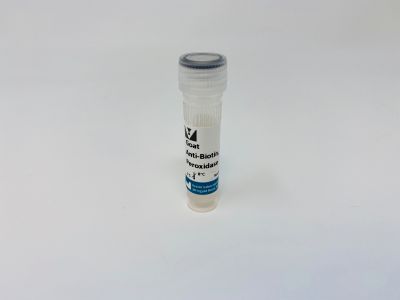 Anti-Biotin Mouse Monoclonal Antibody