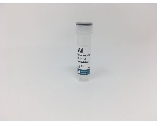Horse Anti-Goat IgG Antibody (H+L), Biotinylated