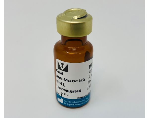 Goat Anti-Mouse IgG Antibody (H+L), Unconjugated