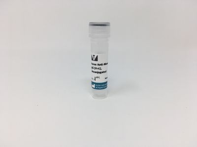 Goat Anti-Mouse IgG Antibody (H+L), Unconjugated