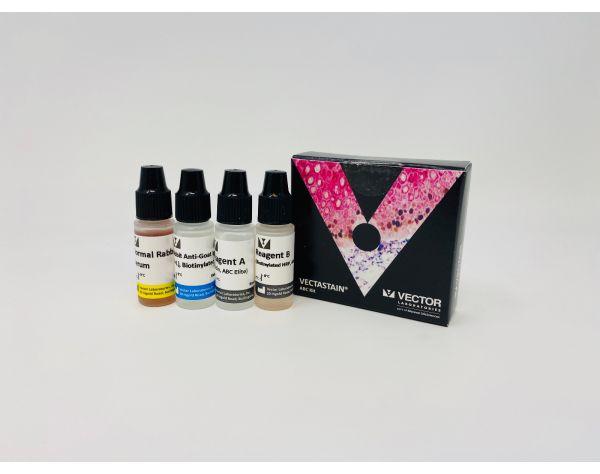 VECTASTAIN? Elite ABC-HRP Kit, Peroxidase (Goat IgG)