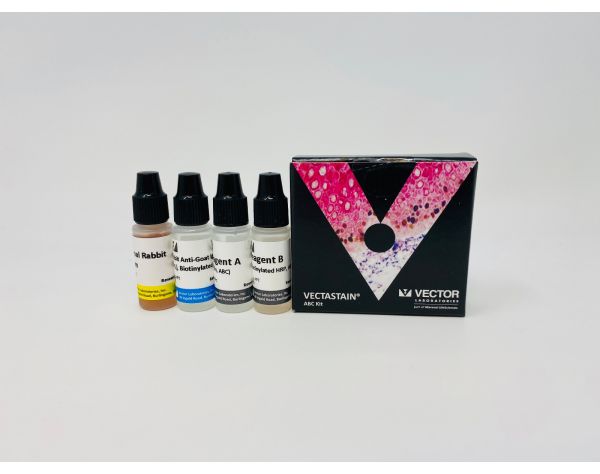 VECTASTAIN? ABC-HRP Kit, Peroxidase (Goat IgG)