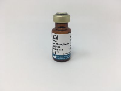 VECTASTAIN? ABC-AP Kit, Alkaline Phosphatase (Universal)