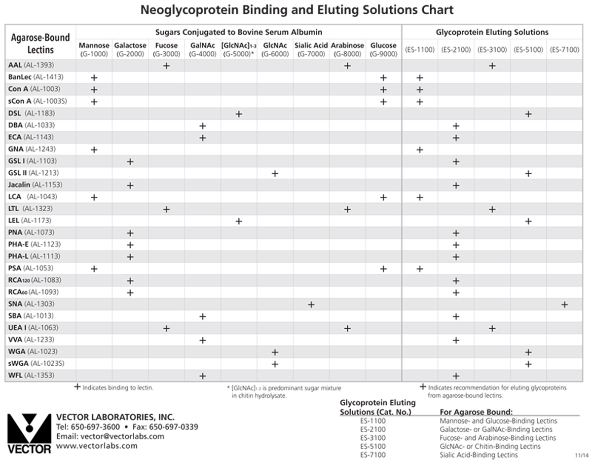 Glycoprotein Eluting Solution for Sialic Acid Binding Lectins