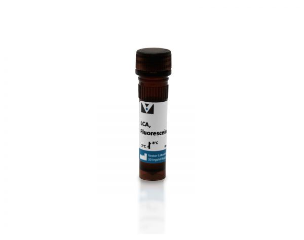 Lens Culinaris Agglutinin (LCA), Fluorescein