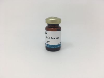 Ulex Europaeus Agglutinin I (UEA I), Biotinylated