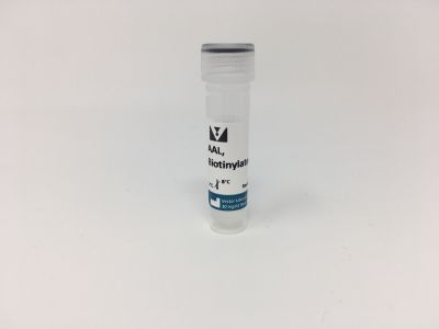 Aleuria Aurantia Lectin (AAL), Agarose bound