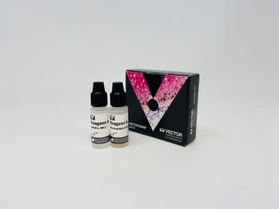 Biotin (Long Arm) NHS, Water Soluble