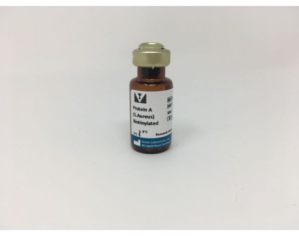 Protein A, Biotinylated (S. Aureus, Cowan strain)