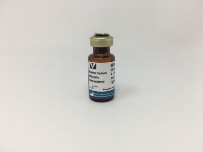 Protein A, Biotinylated (S. Aureus, Cowan strain)