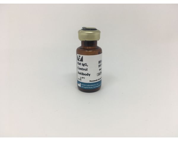 Rat IgG, Control Antibody
