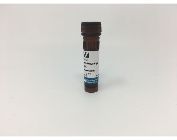 Horse Anti-Mouse IgG Antibody (H+L), Fluorescein