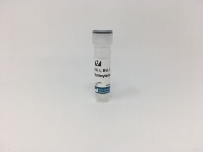 Griffonia (Bandeiraea) Simplicifolia Lectin I (GSL I, BSL I), Unconjugated